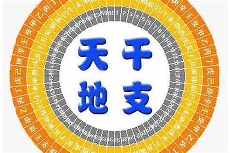 地支三會|八字